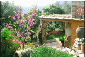 Mountain house surrounded by nature, Soportújar